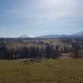 20170401_101848